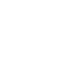 Palomino Coffee